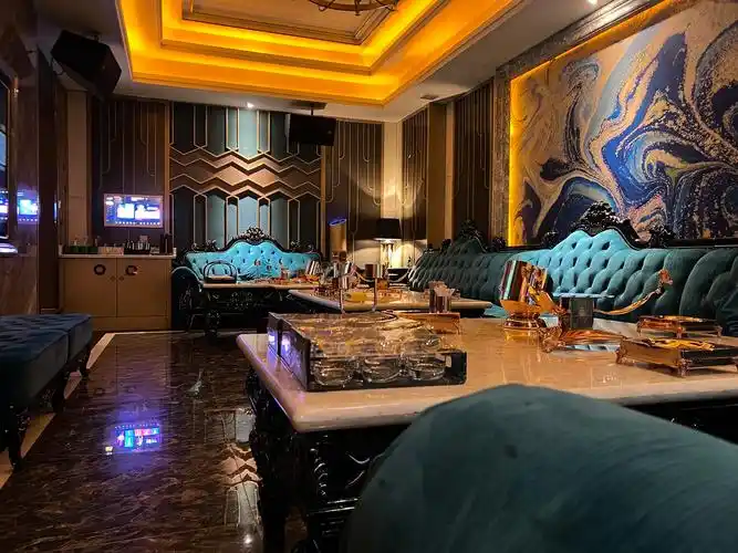 天津商务ktv与片场区别-武清区ktv预订